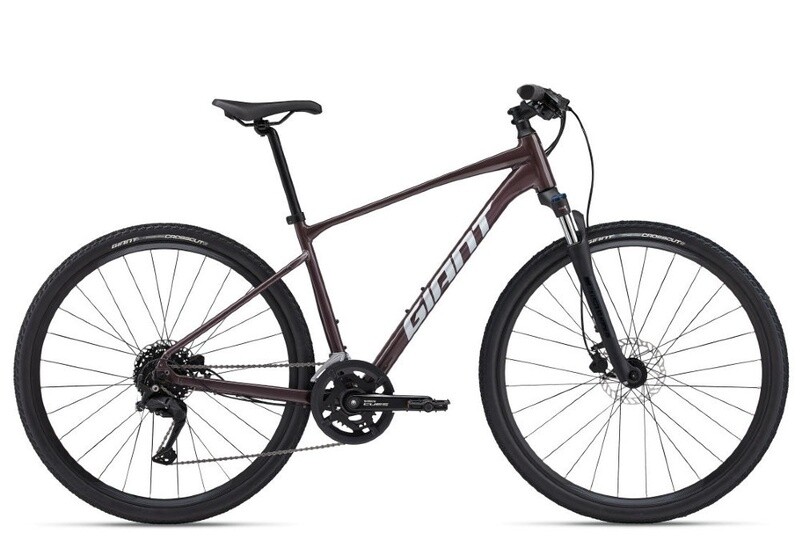 Giant Roam 2