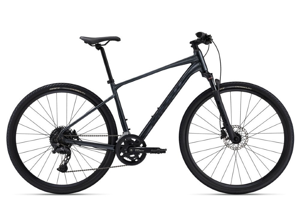 Giant Roam 1