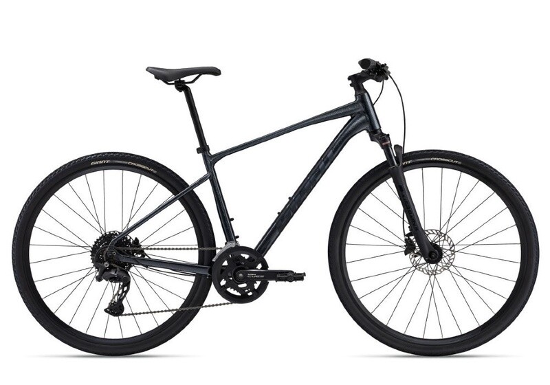 Giant Roam 1