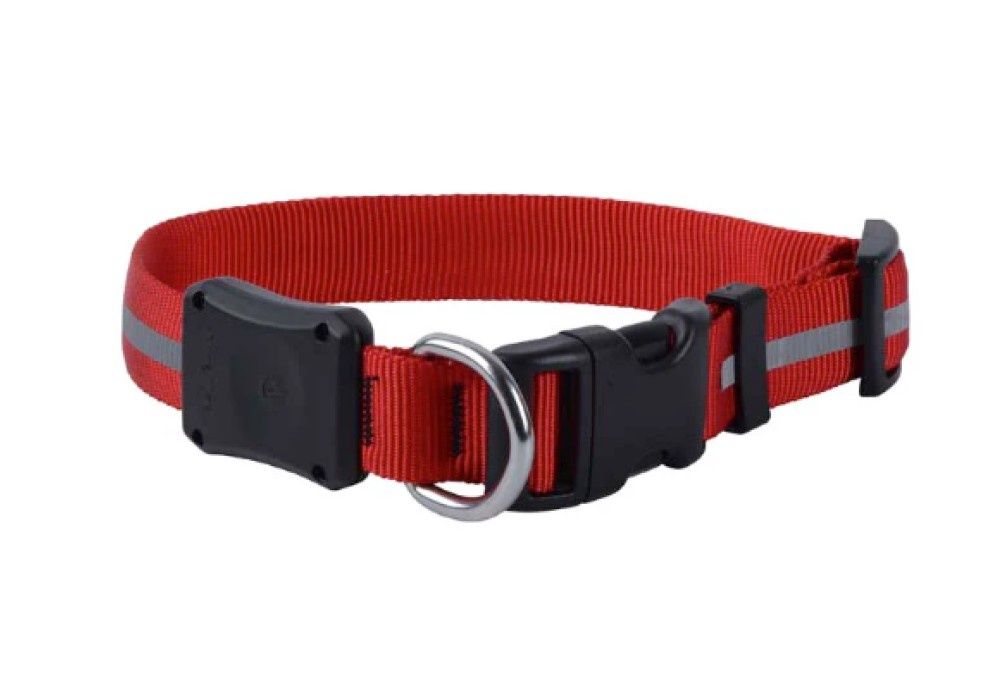Nite Ize Nite Dawg Led Dog Collar (Med)