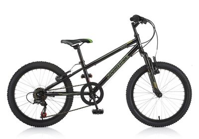 Probike Stealth 20&quot;