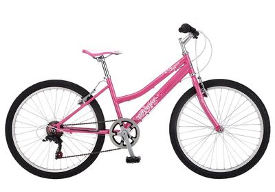 Probike Sapphire 24