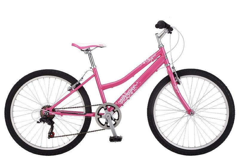 Probike Sapphire 24