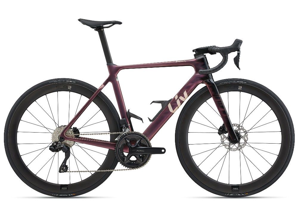 Liv EnviLiv Advanced 1