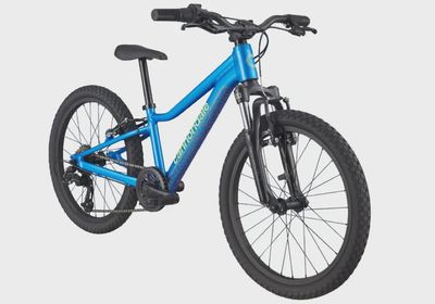 Cannondale Kids Trail 20