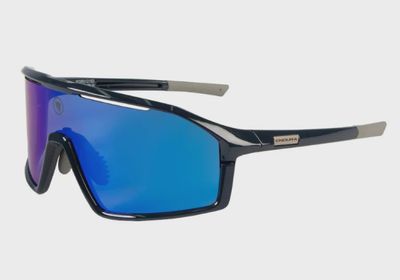 Endura Gabbro II Glasses