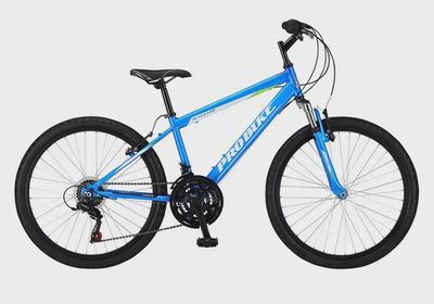 Probike Blizzard 24