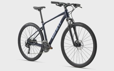 Giant Roam 3