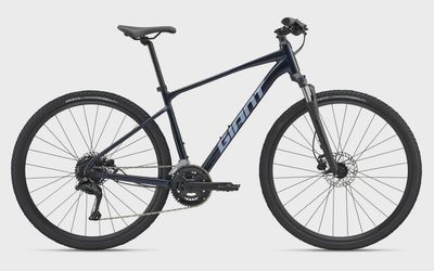 Giant Roam 3