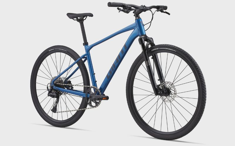 Giant Roam 1