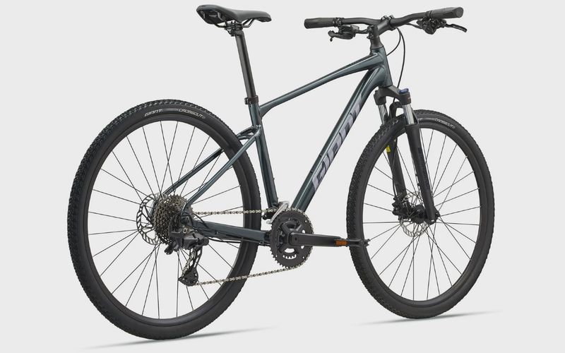 Giant Roam 2