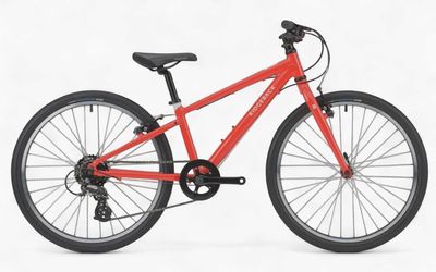 Ridgeback Dimension 24