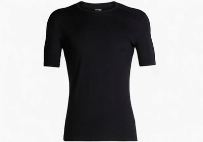 IceBreaker Merino Mens's 200 Oasis Short Sleeve Crewe Thermal Top