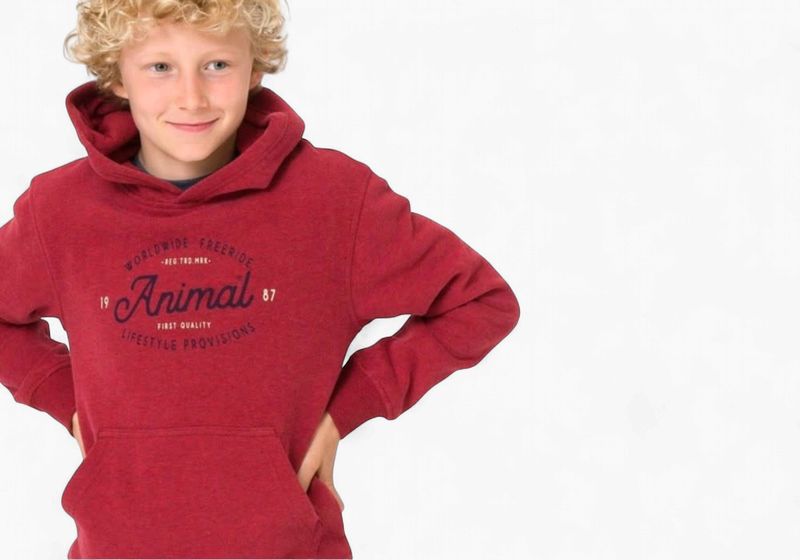 Animal Atlas Hoodie