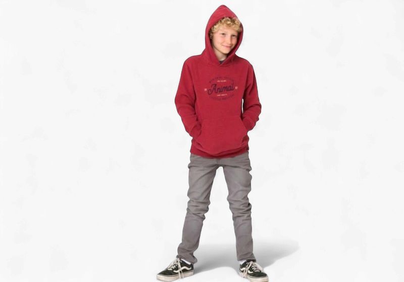 Animal Atlas Hoodie