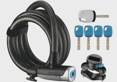 Giant Surelock Flex Key 12