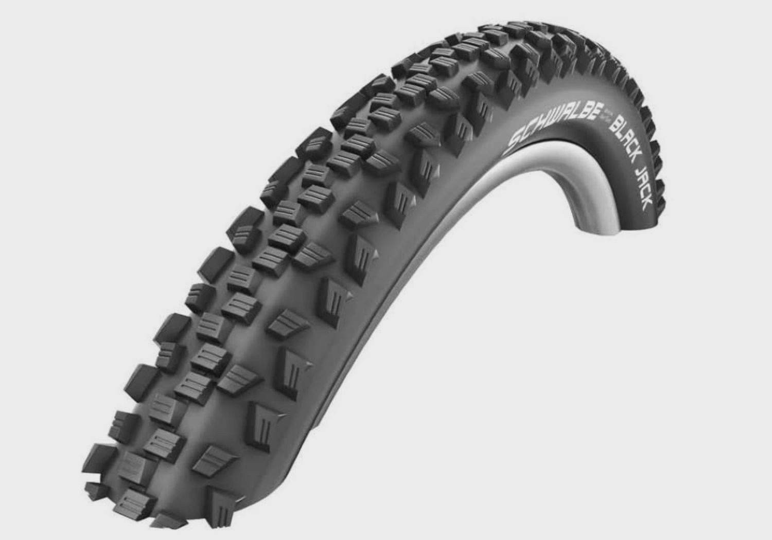 Schwalbe Black Jack Tyre
