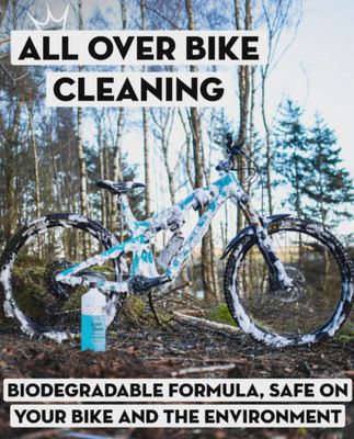 Peaty's LoamFoam Cleaner