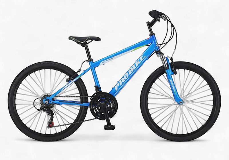 Probike Blizzard 24