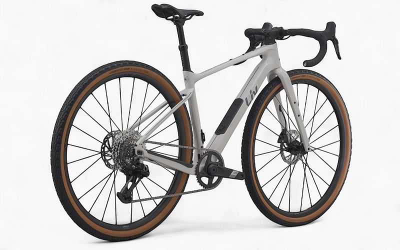 Liv Devote Advanced 1