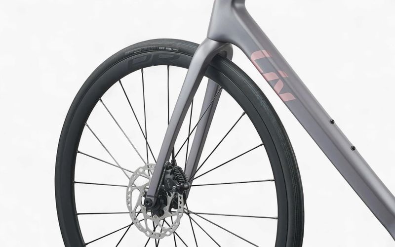 Liv Langma Advanced 2