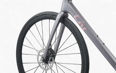 Liv Langma Advanced 2
