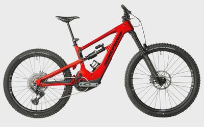 Nukeproof Megawatt 297 Carbon Pro