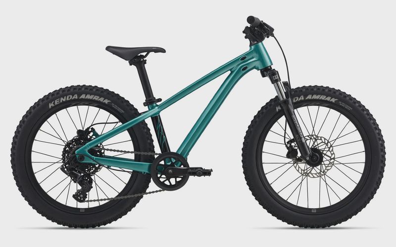 Giant STP 20