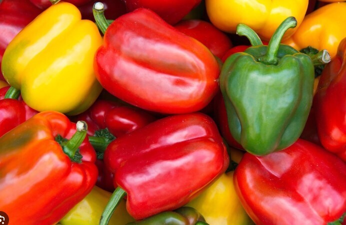 Capsicums $1.80 each