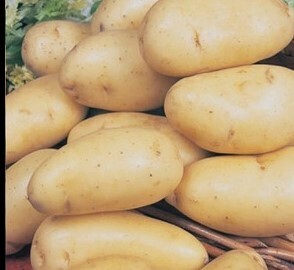 Potatoes (white)