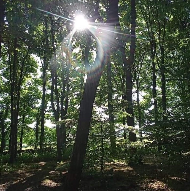 HEALING TOUCH - KAREN WEBSTER