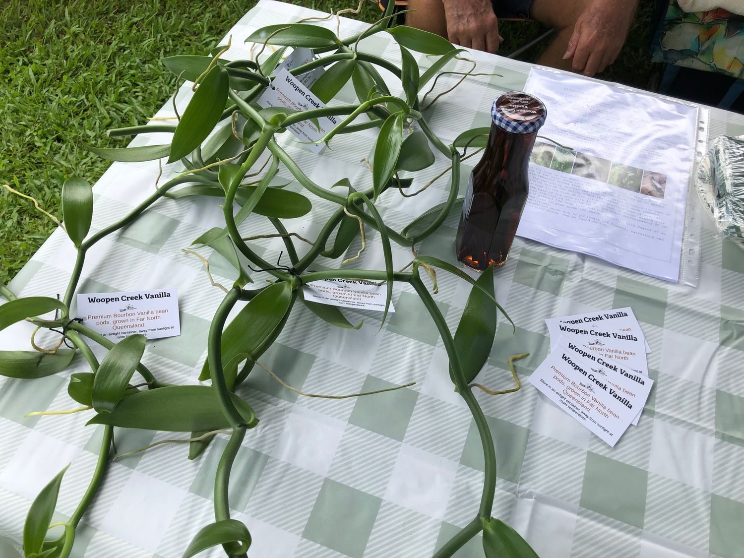 VANILLA (BEANS AND VINES)