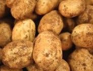 Potatoes (brushed)  - loose $1 or  1kg bag  $3.50