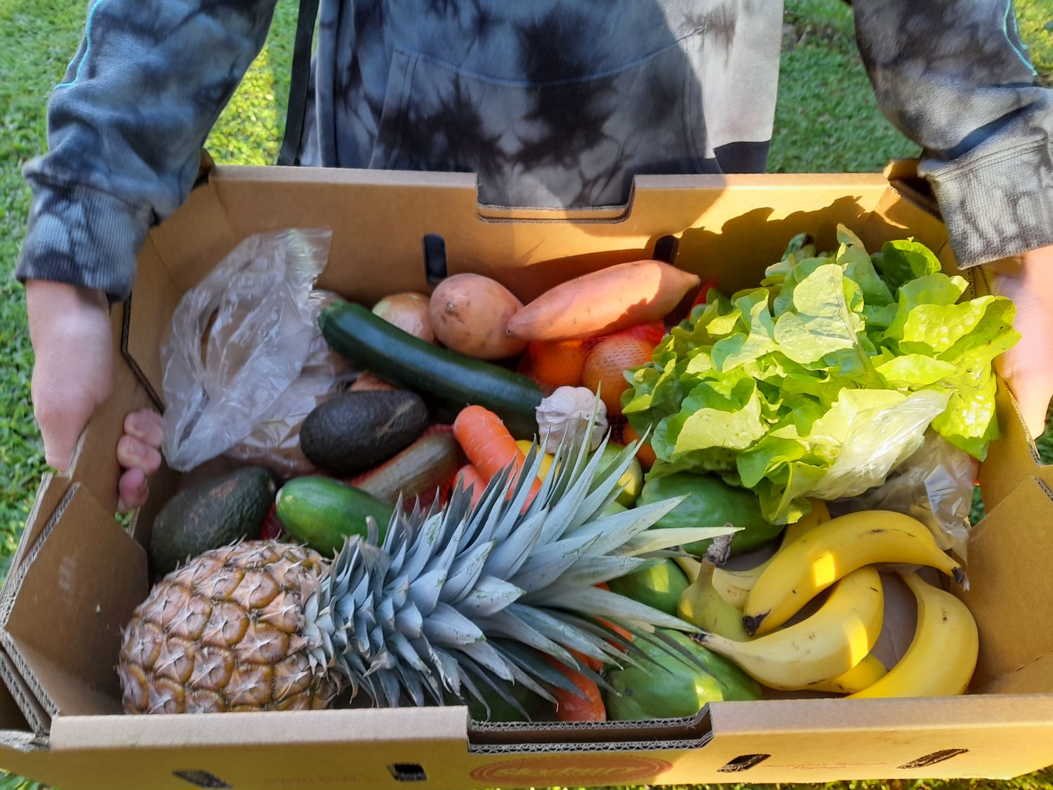 Assorted Fruit &amp; Veg - Medium  $38