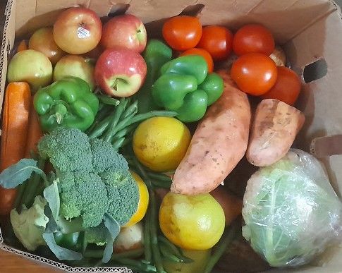 Assorted Fruit &amp; Veg Box - Small - $25