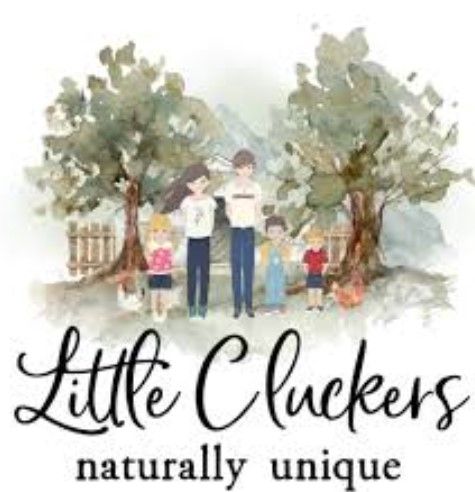 EGGS - LITTLE CLUCKERS 1 doz
