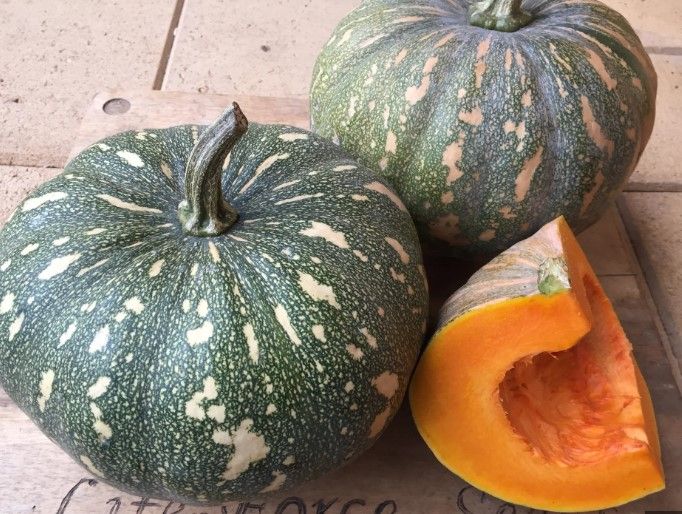 Pumpkin whole - kent
