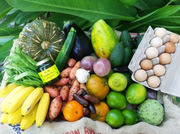 T2T ORGANIC AND SPRAY FREE PRODUCE