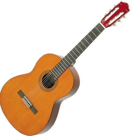 GUITAR LESSONS (advanced) with Andrew -Starts in March