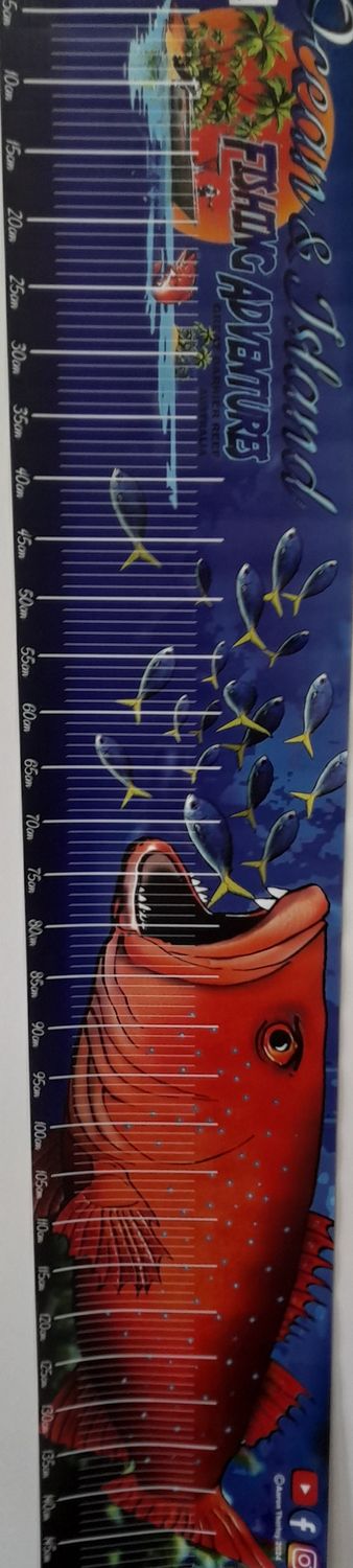 FISHING BRAG CHART -BUY IN STORE