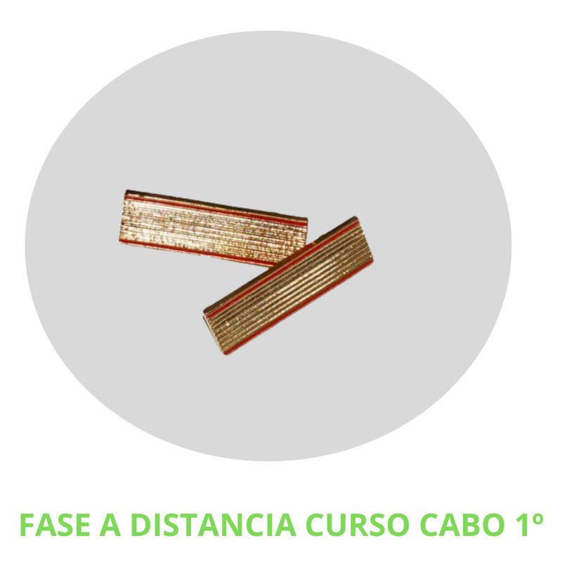 FASE A DISTANCIA CABO 1º ET