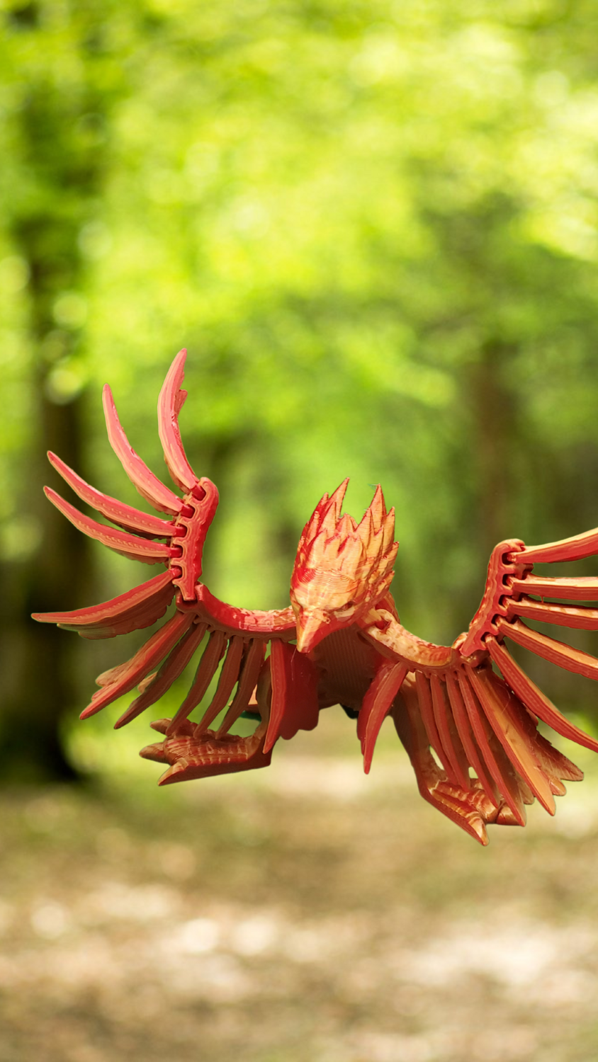 Flexi Factory Phoenix