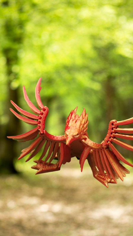 Flexi Factory Phoenix
