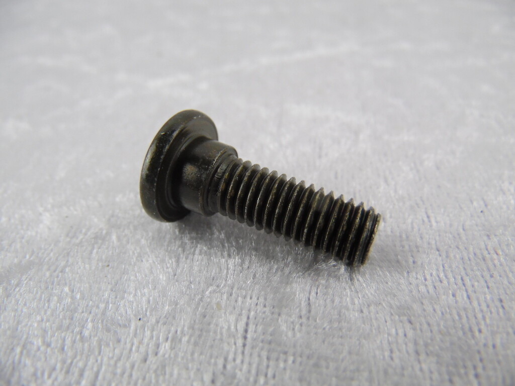 Bremsscheibenschraube vorn SkyMax SkyMini