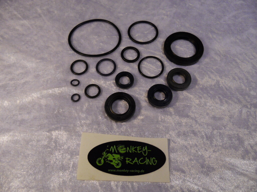 Simmerring Set Motor