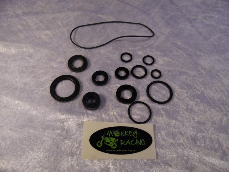 Simmerring Set Motor
