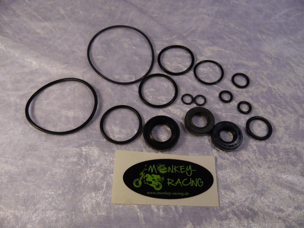 Simmerring Set Motor 250ccm (stehend)