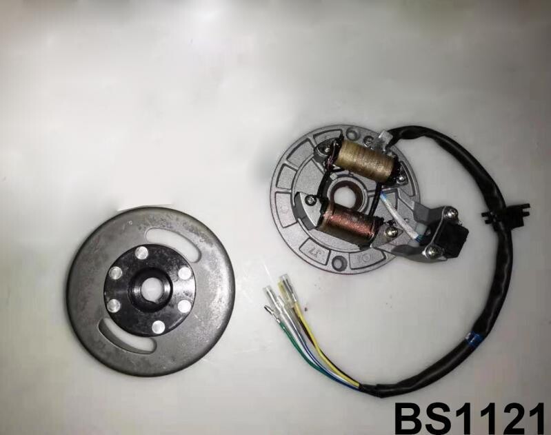 Lichtmaschine kompl. mit Polrad für Kickstartmotoren (2-Spulen)