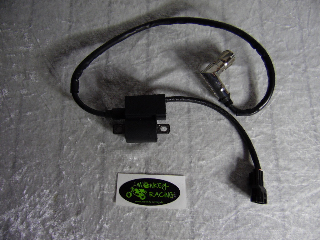 Zündspule SkyMini /Max Euro 4