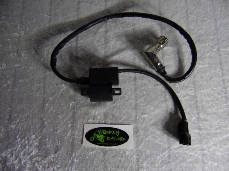 Zündspule SkyMini /Max Euro 4